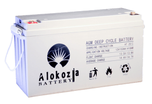 ALOKOIZIA GEL Battery